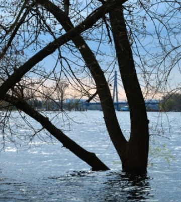 Водопілля в Києві: рівень води у Дніпрі зріс