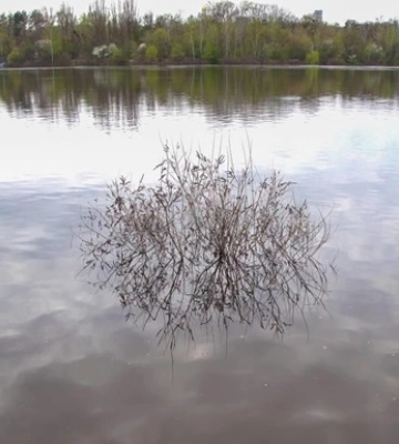 У Києві відновилося зростання рівня води