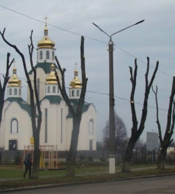 Кронування дерев у Луцьку: що кажуть фахівці, влада і жителі міста