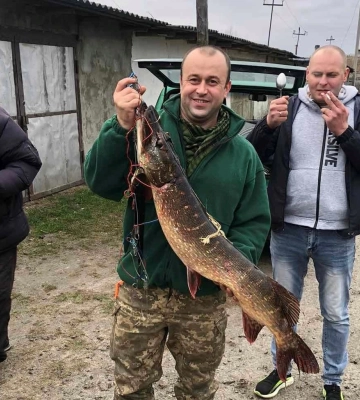Втопила підсак, зламала спіннінг: у Дубровиці зловили величезну щуку
