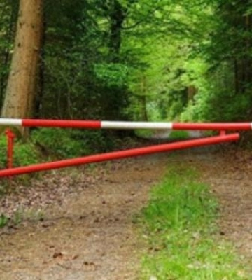 Заборона відвідувати ліси на Полтавщині триває