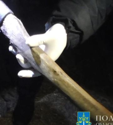 На Полтавщині засудили чоловіка, який вдарив сокирою по голові свою ексдружину