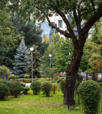 У Києві впроваджують європейські практики захисту біорізноманіття, – КМДА