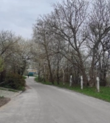 В Острозі 7 травня прогнозують дощ