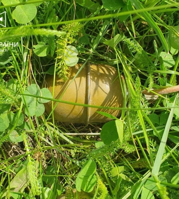 На Сумщині піротехніки за добу знищили 40 вибухонебезпечних предметів