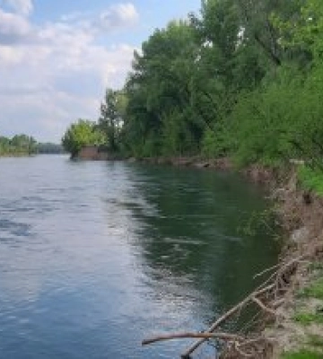 Тиса загрожує відрізати урочище Виннички та зонам відпочинку Чорна гора на Берегівщині (відео)