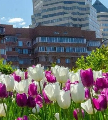 На Дніпропетровщині ніч без атак