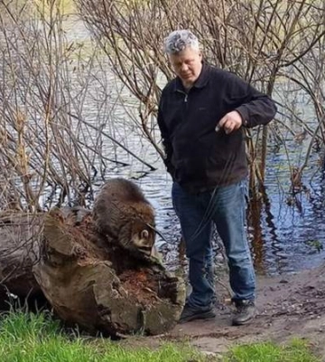 Гуляє на повідці та господарює у квартирі: як живе єнот, якого знайшли в деокупованому Ірпені