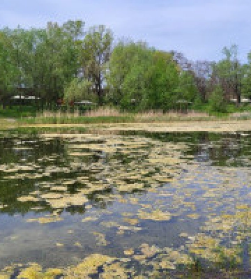 У Києві рятуватимуть Синє озеро від обміління
