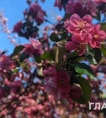 Мінлива хмарність, місцями невеликі опади: прогноз погоди на 4 травня