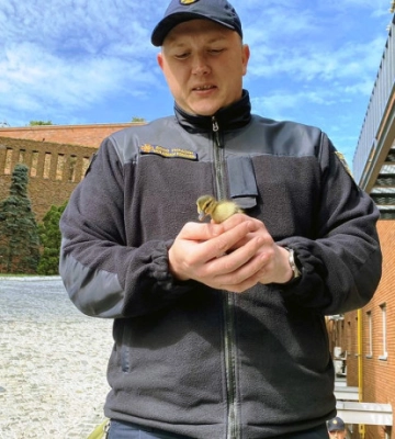У Дніпрі рятувальники врятували каченят