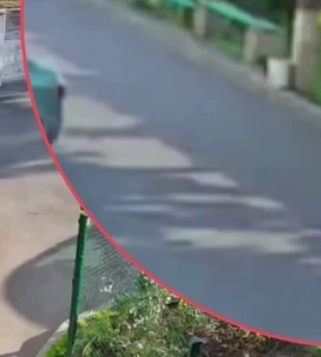 У Дніпрі чоловік із собакою вкрав у дитини скейт (ВІДЕО)