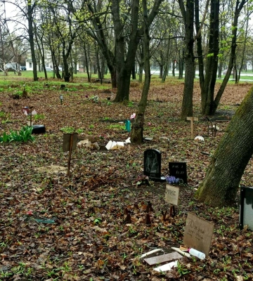 В Харькове в сквере обнаружили стихийное кладбище животных 