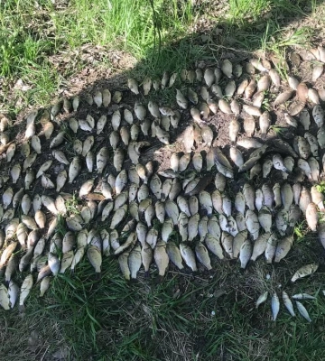 На Полтавщині спіймали рибалку з незаконним виловом на мільйон гривень