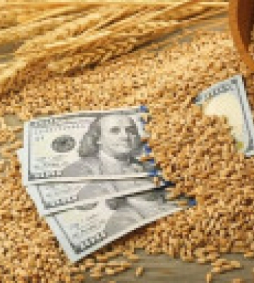 Україна і ЄС анонсували спільну платформу щодо експорту агропродукції
