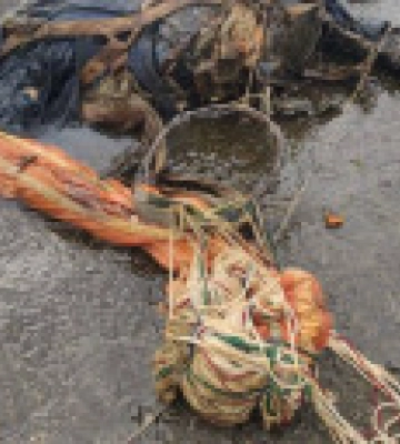 На березі Київського водосховища виявили тіло командира збитого російського гелікоптера