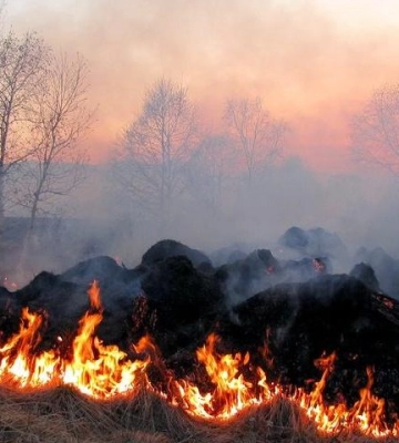 У Полтавській області оголосили надзвичайний рівень пожежної небезпеки