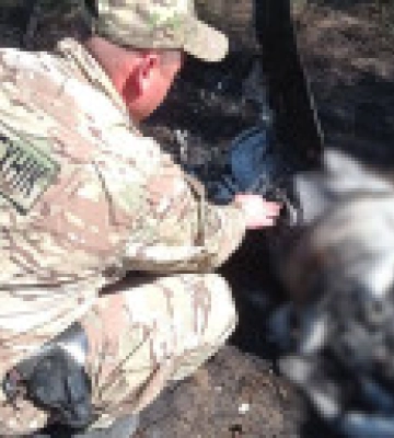 Ще одну збиту ракету рф виявили в одному з районів Київщини