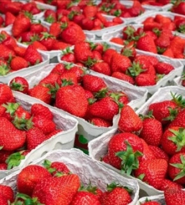 В Україні ціни на полуницю сягнули рекордного рівня - EastFruit
