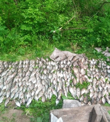 Виловив риби на понад 2 мільйони гривень: на Черкащині викрито браконьєра
