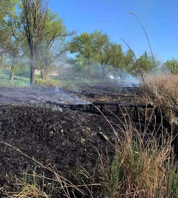 У Кривому Розі загорівся очерет: двоє дітей отримали опіки