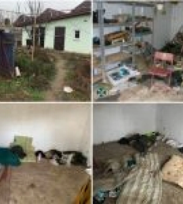 Створили катівню на Миколаївщині: військовослужбовцям &quot;ДНР&quot; повідомлено про підозру