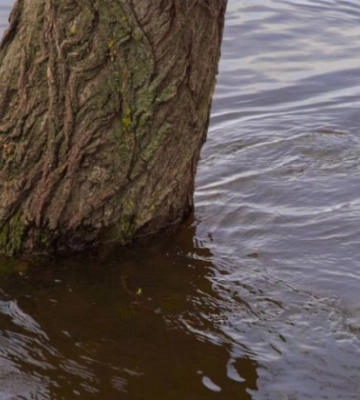 Водопілля у Києві: рівень води у Дніпрі значно знизився