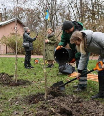 У лісах Полтавщини заборонили висадку 13 видів дерев