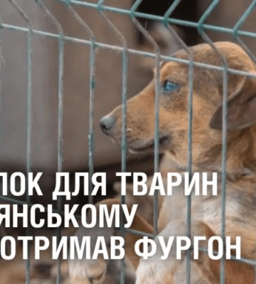 Притулок для тварин у Кам’янському новий отримав фургон