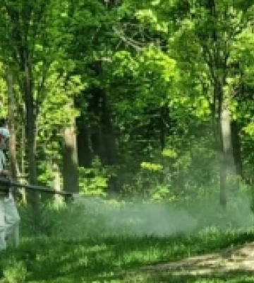 Луцькі парки оброблять від кліщів