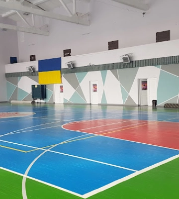 У Луцьку за понад 2 мільйони гривень хочуть відремонтувати покрівлю спортшколи