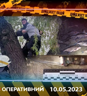 Приключения на дереве, честный вор и другие новости Днепра за 10 мая в одном видео