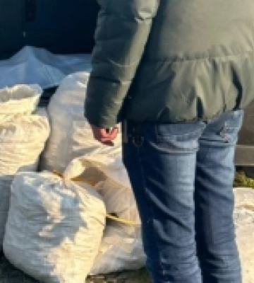 У Вараському районі вилучили понад 100 кілограмів бурштину вартістю пів мільйона гривень