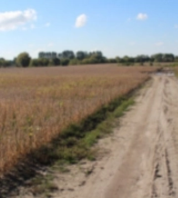 У Луцьку незаконно налагодили агробізнес у прикордонній смузі