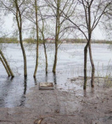 На Київщині попередили про пожежну небезпеку протягом трьох днів