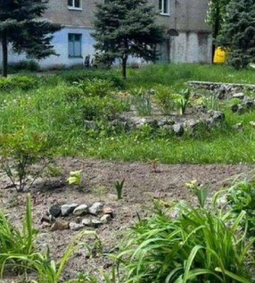 Обмародерили клумбу. У Дніпрі вандали вкрали 10 кущів троянд, висаджених мешканцями будинку