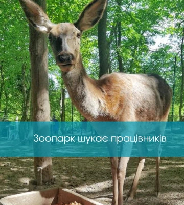 Рівненські поліцейські організували дітям екскурсію у зоопарк