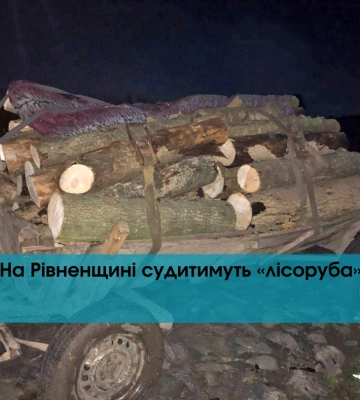 Щоб ніхто не побачив, пішов пізно ввечері: на Рівненщині судитимуть «лісоруба»