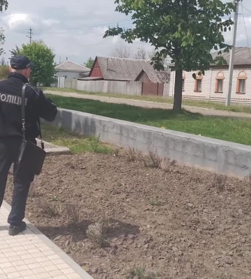 У Кролевці біля пам’ятника Тарасу Шевченку викрали кущі троянд