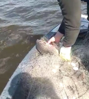 З водойми на Полтавщині витягнули понад 700 метрів браконьєрських сіток