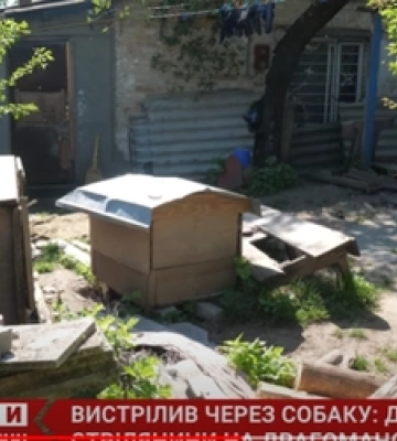 Стріляв з автомата, бо чіплявся до собаки: деталі конфлікту між сусідами в Луцьку (відео)