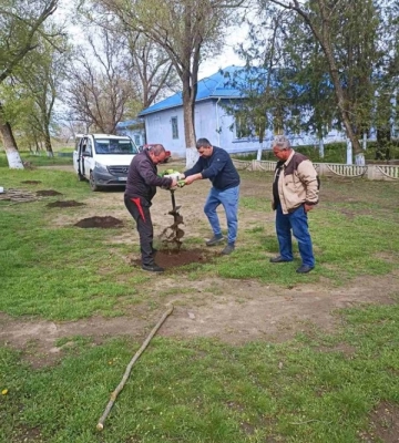 На Одещині висадили унікальні дерева