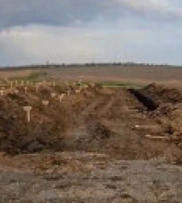 В Мариуполе обнаружили большой сектор свежих захоронений