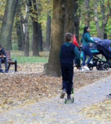 У Львові  наступного тижня проводитимуть обробку парків від кліщів: графік