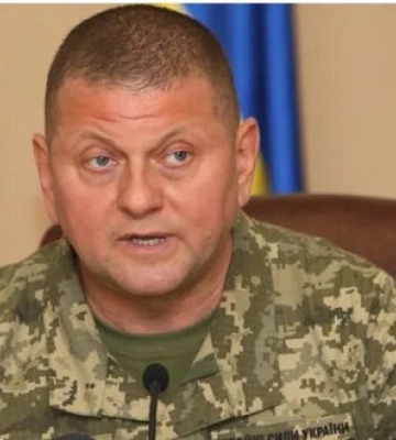 Українські воїни можуть звільнити Крим, Донецьку і Луганску області. Ми знаємо, що для цього потрібно, - Залужний
