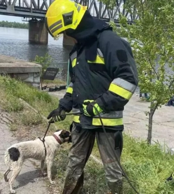 Впав до чотириметрового колодязя: у Дніпрі врятували песика