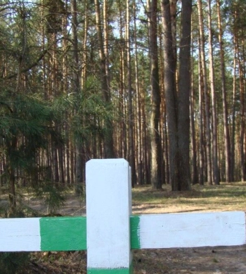 У лісах Полтавщини переважає найвищий рівень пожежної небезпеки