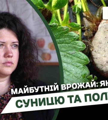 Вночі окупанти накрили вогнем із важкої артилерії Нікопольський район