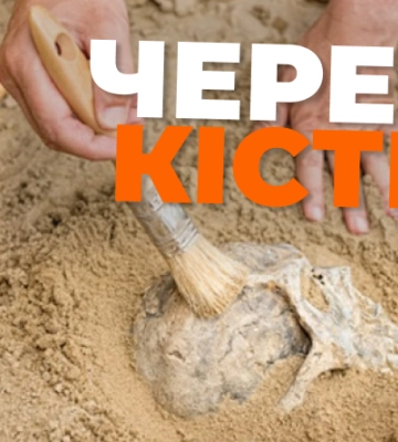 У Дніпрі жителі копали басейн і знайшли людські рештки