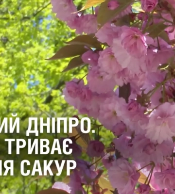 КВІТУЧИЙ ДНІПРО. У місті триває цвітіння сакур